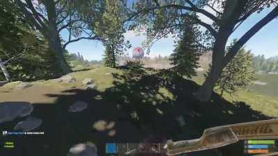 Me and friend encounter new bear AI