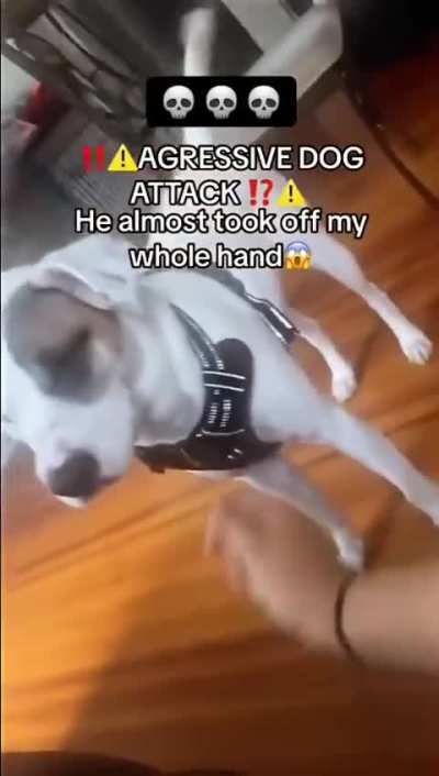 Unspeakable violence i tell ya