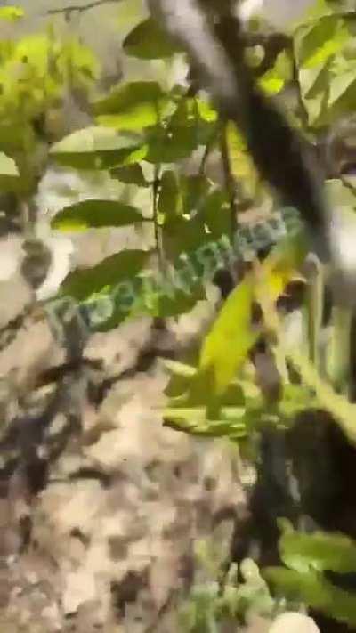 Russian propaganda showing what they call 