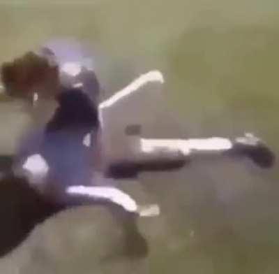 How imma do bruce when i see him