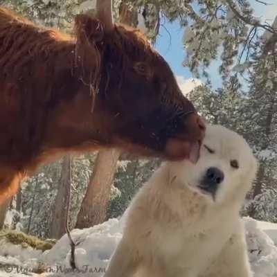 That´s a friendship