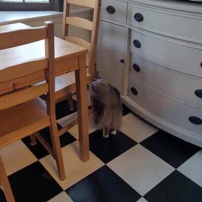 Meet Freya. She's going to tell you all about it