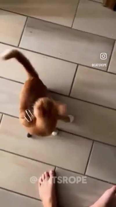 Final Wunkus at the end had me like