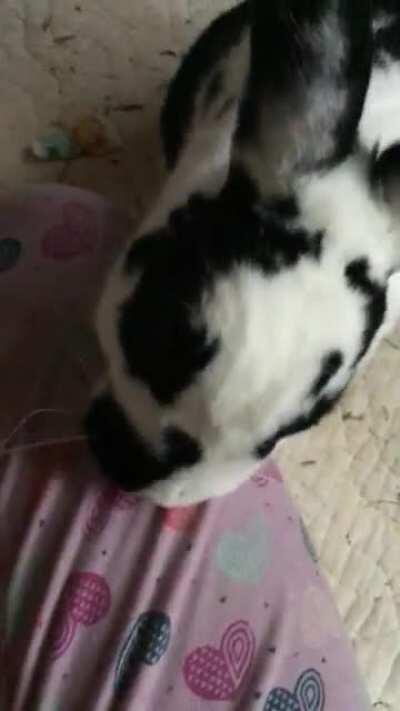 Does this mean he likes me?