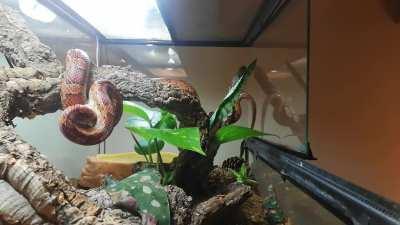 My son Frank striking from an interesting position