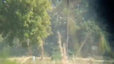 Compilation of Anti-Military Junta Rebels in Myanmar/Burma from Bago and Tanintharyi to Magway and Mandalay [January 19-29] (Music/Effects from Sources)