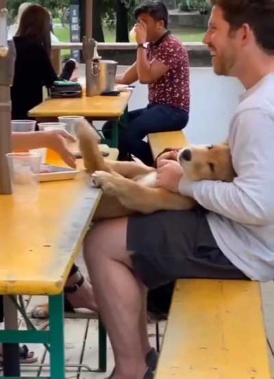 Happy little pupper..