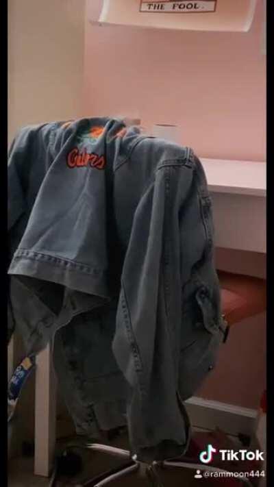 My first tik tok ft my cat so wanted to share