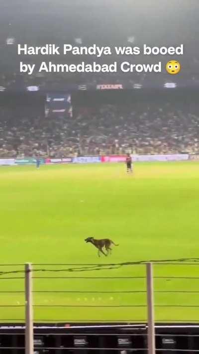 Dog came in the field and crowd starting chanting Hardik Hardik 😭