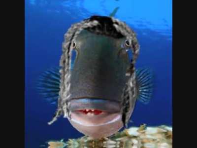 if destroy lonely was a fish ⁉️⁉️⁉️