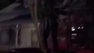 Figured we could all use some levity these days