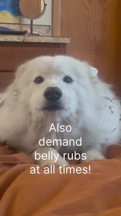 Some advice for peers on today’s tbt.