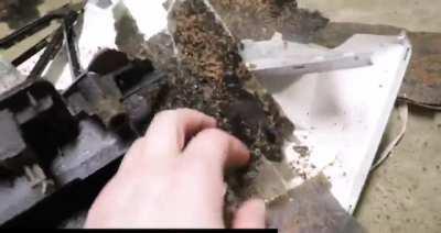 When I catch my little brother watching anime or Turkish drama show