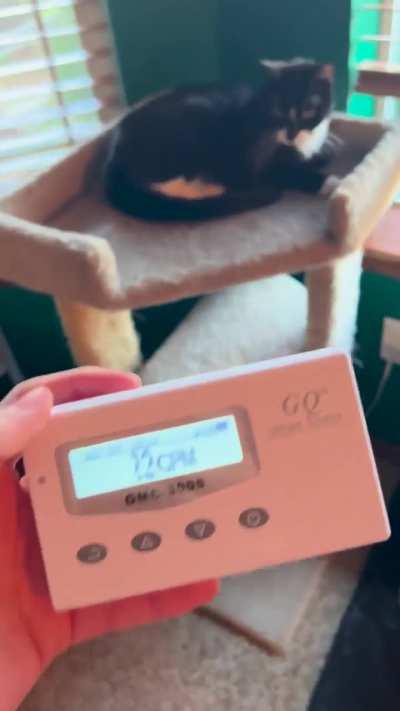 Imagine Dragons - Radioactive