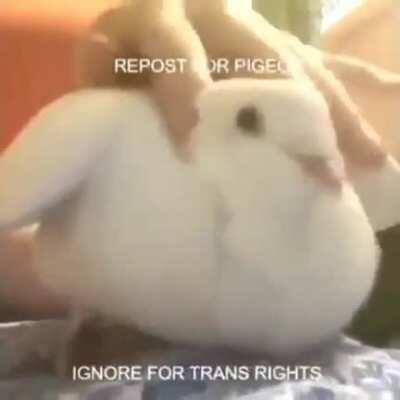 Guys, you should probably put naughty/dirty/nude/youknow pics as a spoiler, so small kids don't see it by accident, just telling ya. But whatever, no rules, I won't ban you...