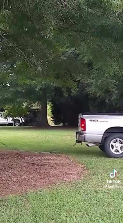 Pickup truck tree removal