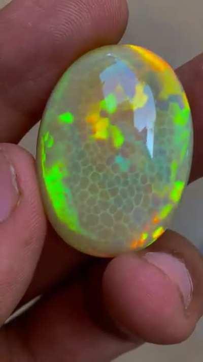 Natural dark body Ethiopian Welo opal Cabochon featuring rare honeycomb cellular pattern and multi-directional full color spectrum flash quality 🤩 50.4crts in size, absolutely stunning to see this quality and size combination