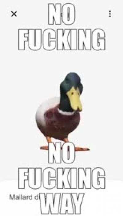 no fucking way