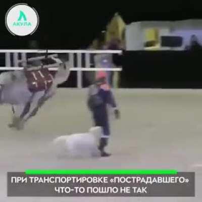 Why horses aren't ambulances