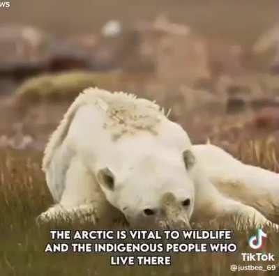 We only have less than a month to end this.