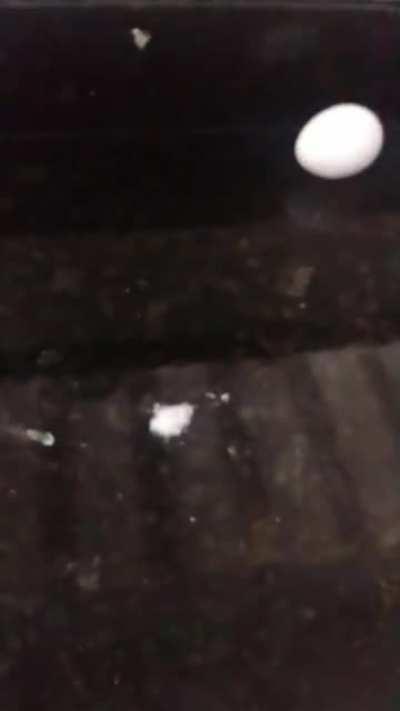 Pronto equilibrei um ovo