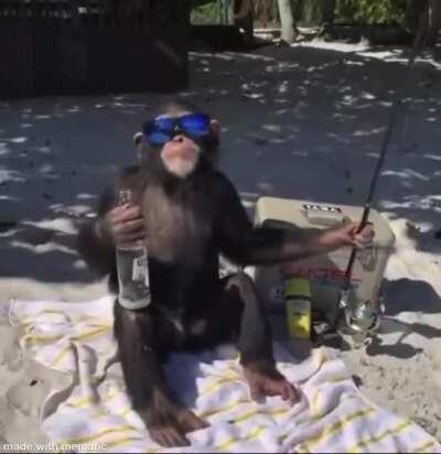 This song is a bop 🙊