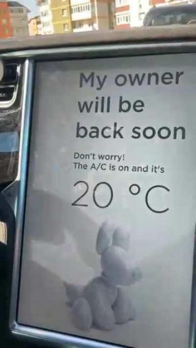 Ну чо опять не так? На Тесле возят, дела сам пошёл делать, её не заставляет... А она ещё чота тяфкает. Псина