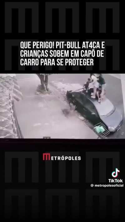 6 people jump on car to escape pit bull but it doesn't give up!