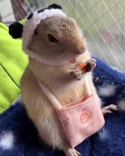 Она выглядела так изысканно с морковкой, пока не перевернула кошелек