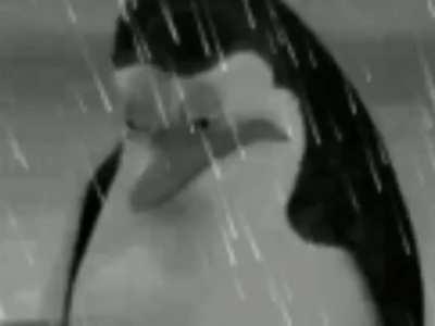 doing a little tomfollery