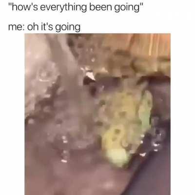 They see me rolling...