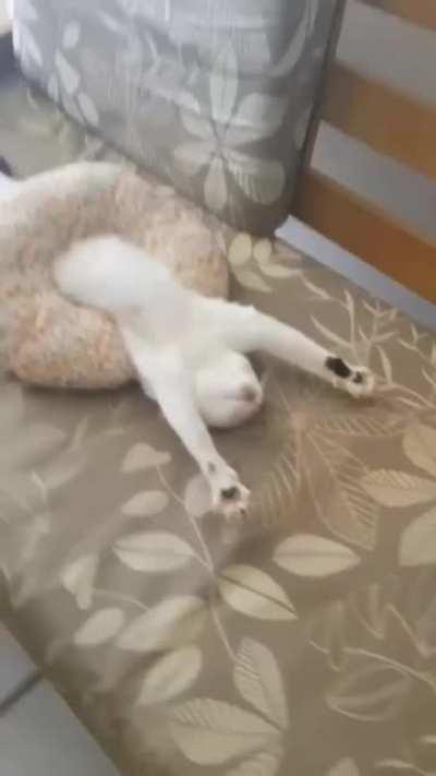 the correct posture while sleeping is important