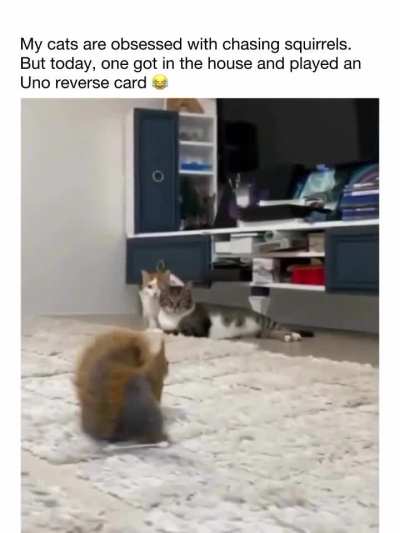 He came for revenge😂