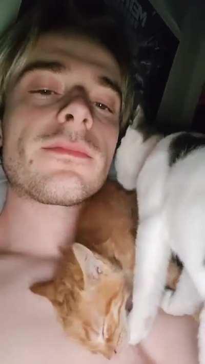 I recently adopted these two and every night is like this