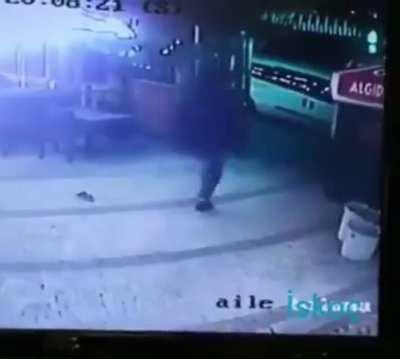 That is one aggressive cat