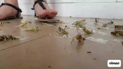 She has wonderful feet 😍