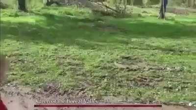 Not sure if it fits, but Wtf Karen