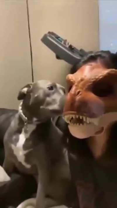 It smells like mommy but doesn’t look like her