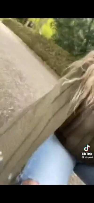 Haven't seen a baby squirrel on here yet