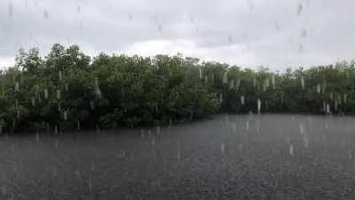 Joyful Florida Keys Rain