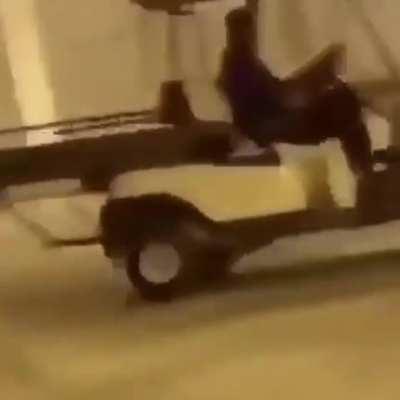 Sem ideia pro título