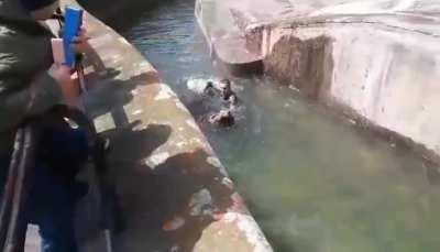 Drunk man versus presumably sober bear