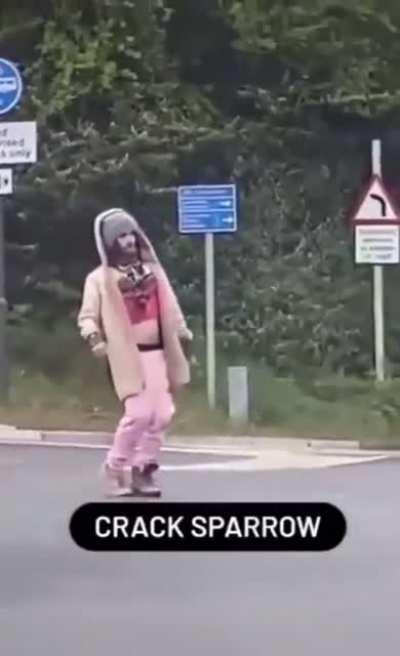 Crack Sparrow