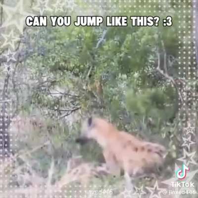 Yeen_irl