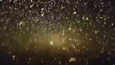 Crossposted to download