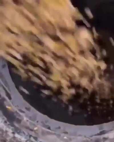 feedingmymeatball.mov