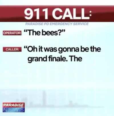 The only good 911 call