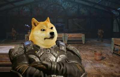 Gears of Doge
