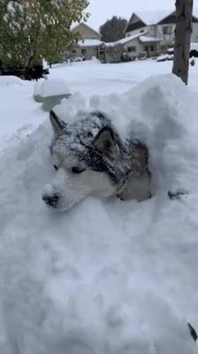 You merely adopted the cold. I was born in it, molded by it.