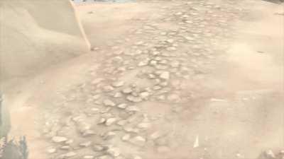 Demoman and Scout kiss (real)